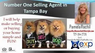 Palm Harbor Florida Real Estate|Best Realtor in Palm Harbor Florida