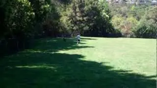 VID00603