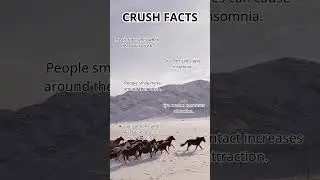 5 weird facts about crushes that will mess with your head. #psychologyfacts #psychology #fyp