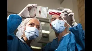 HCIFS Forensic Genetics Laboratory