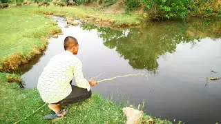 Original village Fishing video || Next level Fishing videos Fish Fishing videos