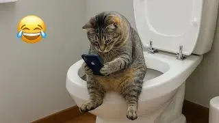 Смешные видео с животными 😂 | Самые смешные кошки и собаки 2025 года 😸🐶