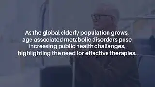 Targeting CD47 Improves Blood Sugar and Lipid Balance in Aged Mice | Aging-US
