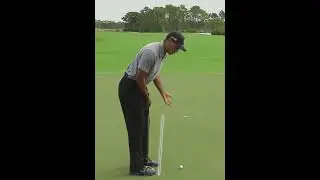 Tiger Woods Putting Toe Line
