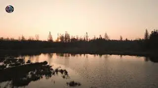 Mysterious Sunrise Forest 🌅🌲 | Atmospheric Suspense by Muyo5438 🎵 (1 Hour)
