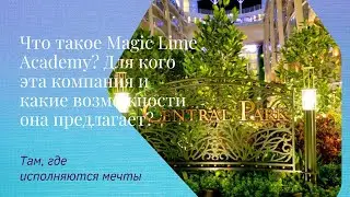 Что такое Magic Lime Academy? Для кого эта компания и какие возможности она предлагает?