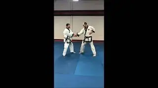 Mi Guk Kwan Knife Defense # 2