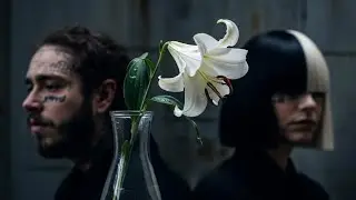Post Malone ft Sia &ndash; Love You Again | Lyrics Video