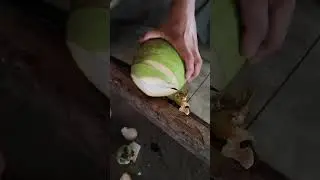 Experiment Coconut Cutting #coconut #coconutwater #coconut #couting #viralshortvideo