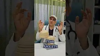 What In Brain Controls Fear And Anxiety! @NeuroMedTalks01 #neurosurgeon #brain