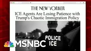ICE Agents Lose Patience With Immigration Policy | Morning Joe | MSNBC