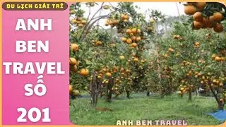 Anh Ben Travel Số 201 - Tham Quan Vườn Tr&aacute;i C&acirc;y Thu Hoạch Tại &Uacute;c