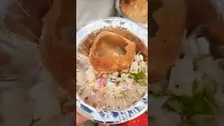 Panipuri lovers 😋🤤😍 yum yum #foodie #shorts #shortsfeed #youtubeshorts