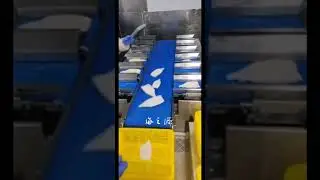 Combined Weighing Machine #seafoodprocessing #machine #fishprocessing #food