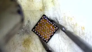 Network IC wtr replacement - phone repair 