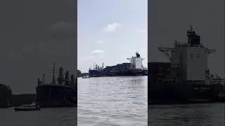 KMTC ship accident scene