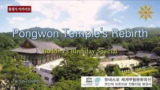 Pongwon temple's Rebirth - Buddha's Birthday Special
