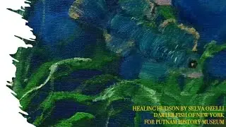 HEALING HUDSON - DARTER FISH OF NEW YORK BY SELVA OZELLI
