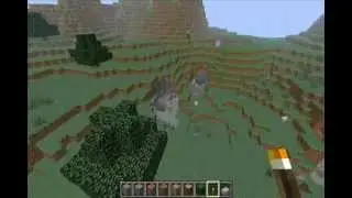Minecraft Seed Highlight 1.2.5 - MinecraftMatt404