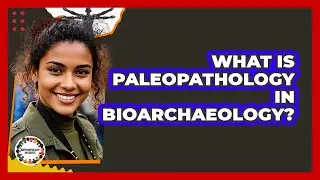 What Is Paleopathology In Bioarchaeology? - Anthropology Insights