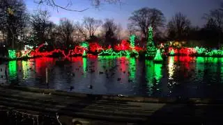 Wild Light Show 2013 - Cincinnati Zoo