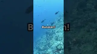Fakta unik dan menarik Kota Mamuju Ibukota Sulawesi Barat #mamuju #mamujusulbar#mamujutengah #sulbar