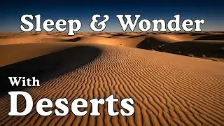 Calm Facts About Deserts To Fall Asleep To | Sleep & Wonder