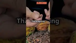 Aztecs Used Cocoa Beans as Money! | Fascinating Ancient History #historicalfacts