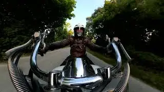 SUZUKI INTRUDER 1500LC hit by a bird