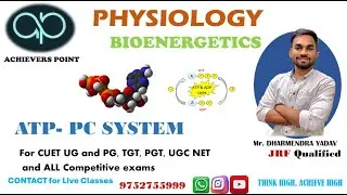 ENERGY SYSTEMS , ATP- PC SYSTEM