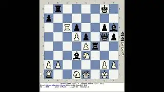 Shirov, Alexei vs Topalov, Veselin | Vienna Millenium Chess 1996, Austria