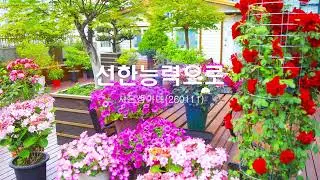 선한능력으로 / 시온성가대
