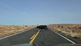 Meteor Crater Natural Landmark road, Arizona