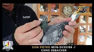 DON PIETRO CHRIS DEBACKER