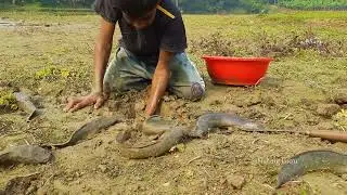 Dry Season Fishing - 2022 | Catching Catfish in Dry Season Find Fish in Underground Secret Hole