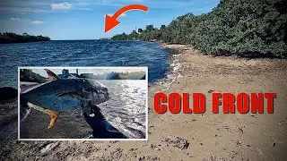 ЭЛЕКТРОСТАНЦИЯ ловит рыбу перед наступлением холодного фронта в заливе Анклот, Флорида 🎣🌴🌬️