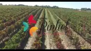 Vindimas 2015 | Pinhel “Cidade Falcão” - 4k