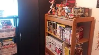 OUTDATED NessMudkip's Complete Anime and Manga Collection - May 2014