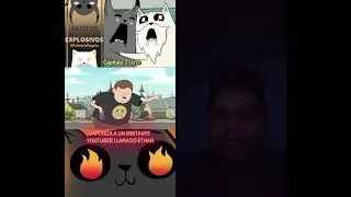 serie de Netflix gatitos explosivos 🧨
