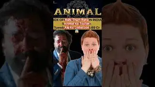 Animal Box Office Collection #shorts #animal #viralshorts #ranbirkapoor