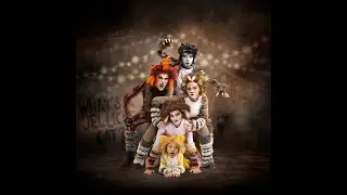 CATS (Young Actors Edition) - National Youth Theatre, Director's Diary