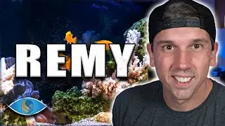 Don't Make These Reef Keeping Mistakes! - Bahama Llama Coral