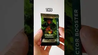 Bank or Go Broke! - LOTR Collector Booster | Episode 31 #mtg