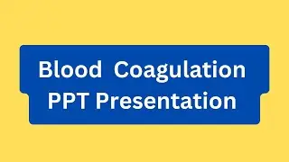 Blood Coagulation PPT Presentation Seminar Download: Meaning, Importance, Process