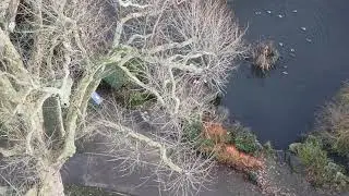 (Drone Test Flight) Cedars Park and Surrounding Area. Borough of Broxbourne, Hertfordshire. UK.