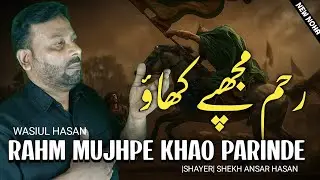 |NEW NOHA| Kah Rahi Hai Sakeena Idhar Se Na Jao Rahm Mujhpe Khao Parinde | Janab Wasiul Hasan