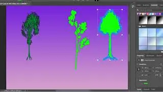 Shape Tools for Creative Digital Campaigns in Adobe Photoshop