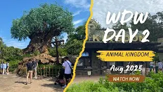 WDW AUG 2025 | DAY 2 ANIMAL KINGDOM | BABY'S FIRST DISNEY HOLIDAY