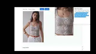 Fashion product image analysis with one single 16G GPU