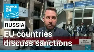 Russian oil embargo: EU countries discuss fresh round of sanctions &bull; FRANCE 24 English